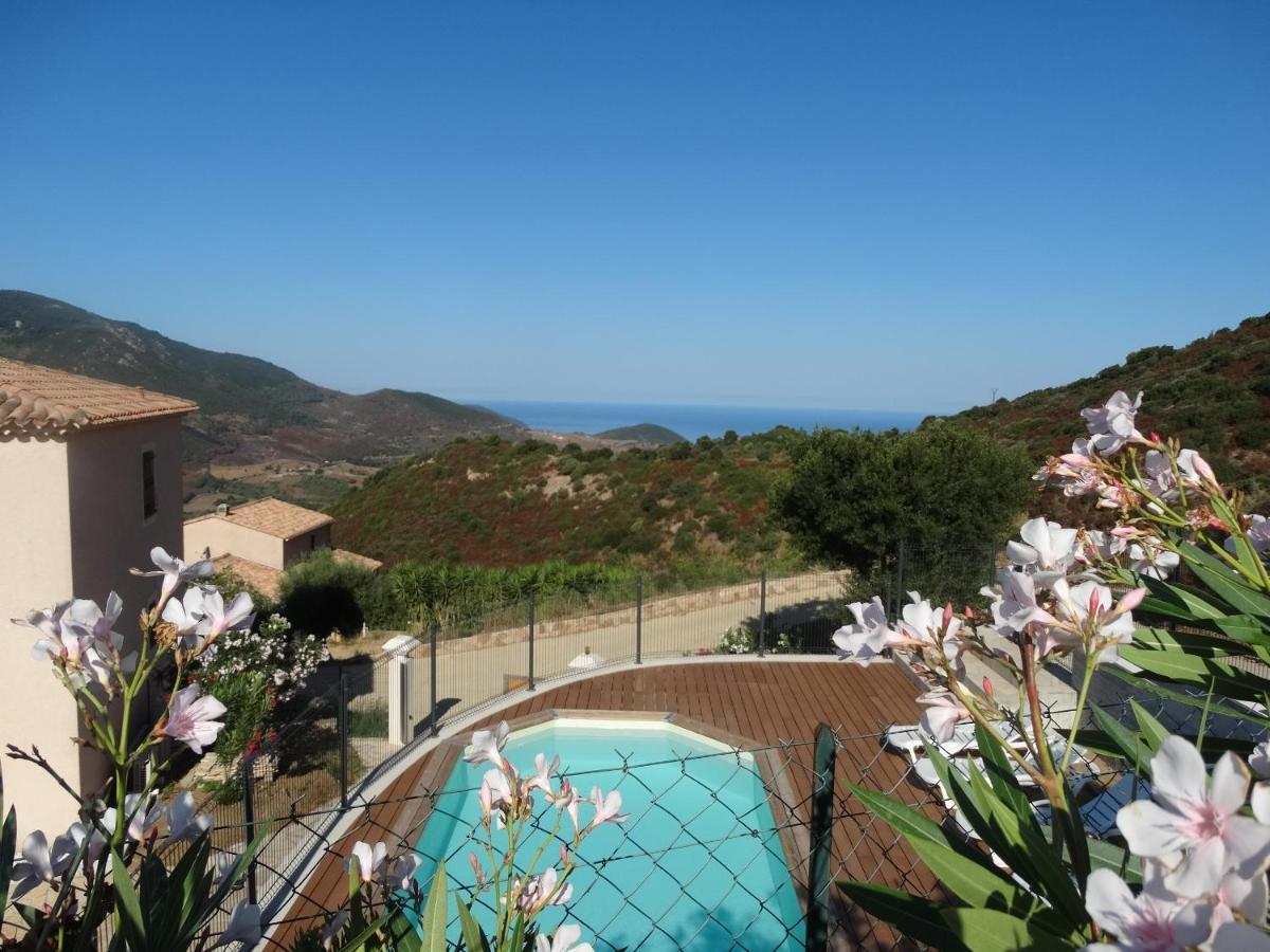 Gites Sassone, Vue Panoramique Sur Ajaccio Et La Mer Alata Eksteriør billede
