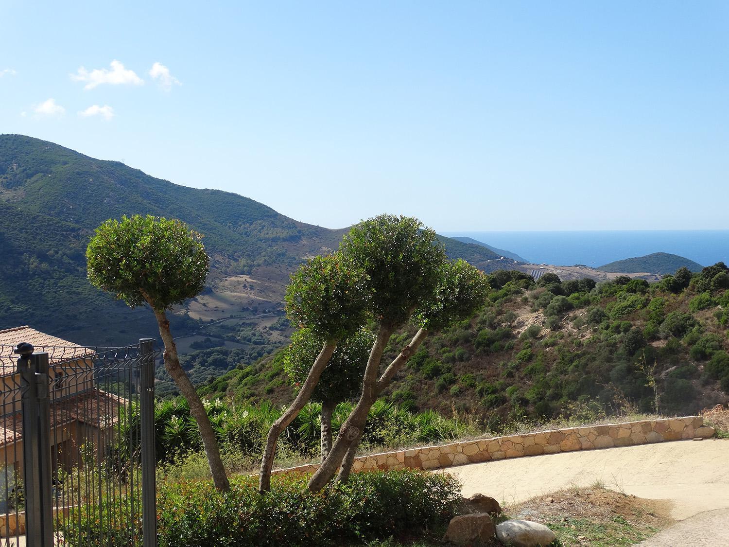 Gites Sassone, Vue Panoramique Sur Ajaccio Et La Mer Alata Eksteriør billede